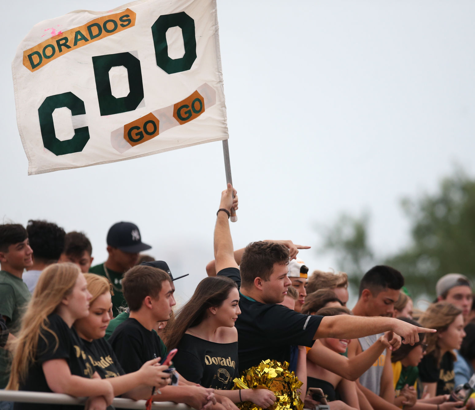 Canyon del Oro 21, Ironwood Ridge 24